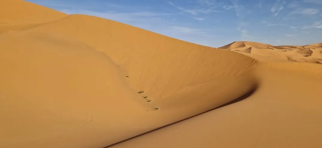 Tracks across a high sand dune