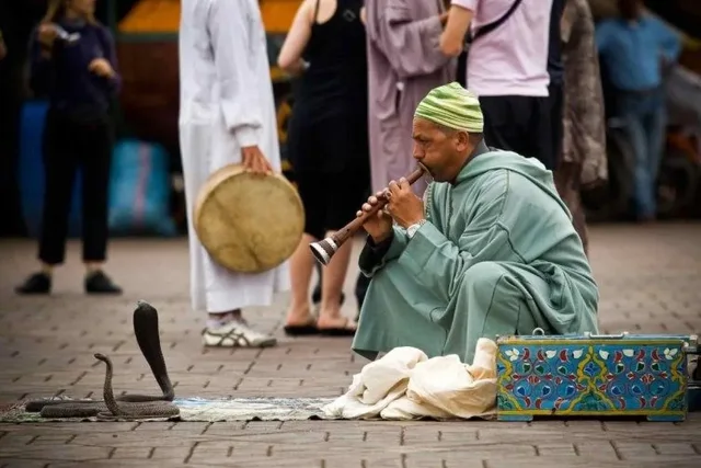 A seated musician in a city street