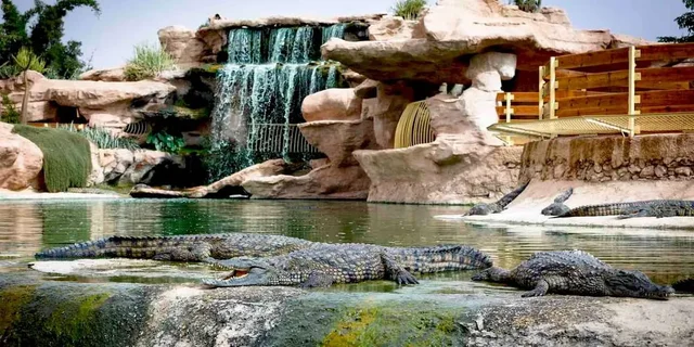 Rock pools and landscaped paths at Crocoparc