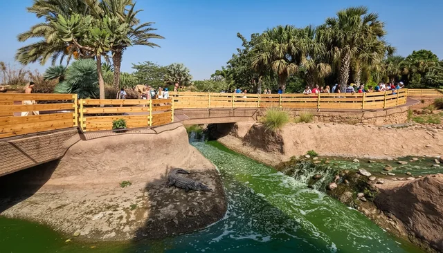 Palm-lined paths and a bridge at Crocoparc